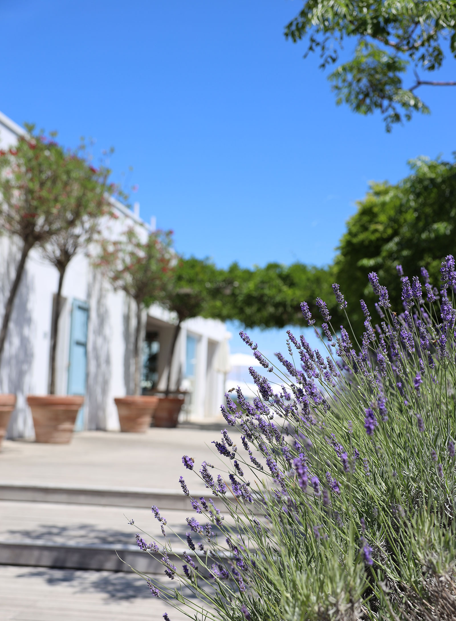 Stabilimento Balneari a Cesenatico Maré