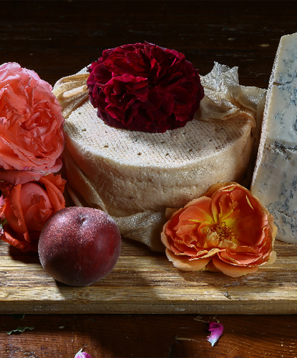 formaggio di fossa di Roncofreddo