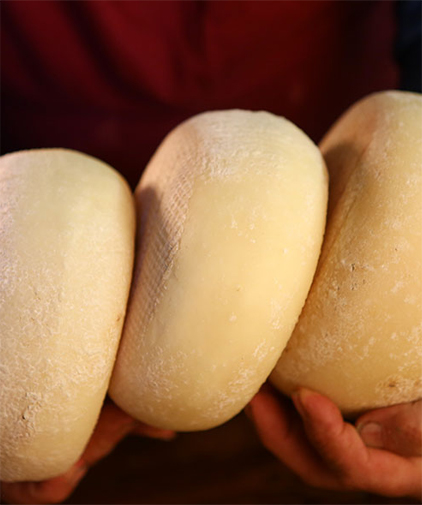 formaggio di fossa di Roncofreddo
