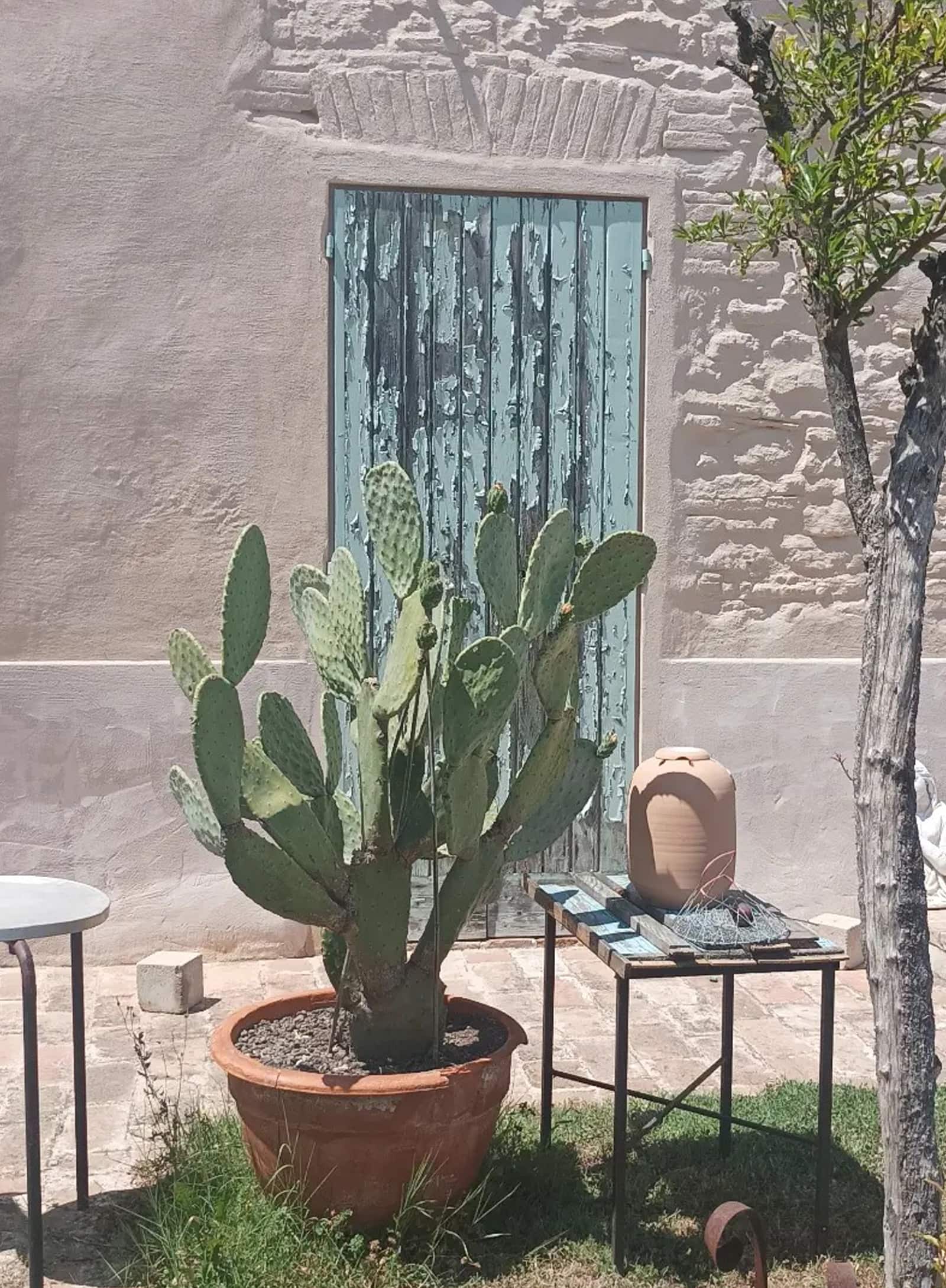 Casa Color Sabbia