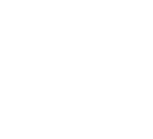Brodino Cesena